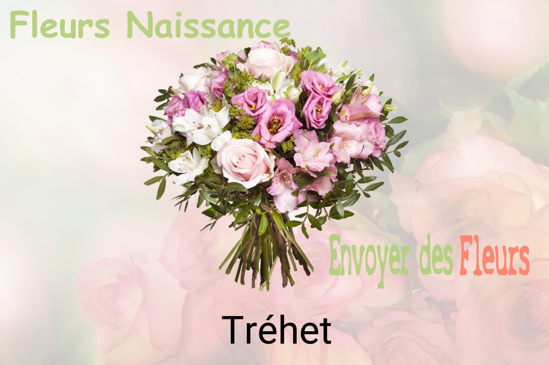Bouquet de fleurs de naissance livré à Tréhet